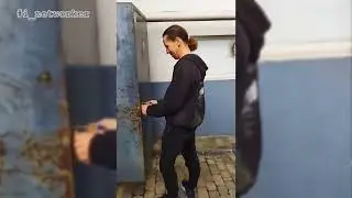 Среда