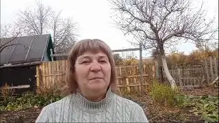 убираю старую клубнику