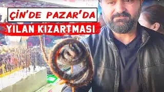 Akrep Yılan Böcek Kızartıp Satıyorlar / Çin Pazarı