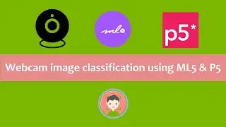 How to make JavaScript Webcam image classification using ML5 & P5