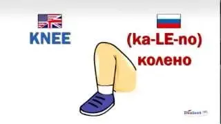 How to speak Russian - Parts of the Body (Part 2)
