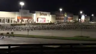 Creepiest thing hundreds of black Ravens  roosting on a strip mall parking lot am hours.