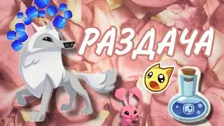 🦜🌸/•° САПФИРОВАЯ РАЗДАЧА в Animal jam💗 °•/ ( Ищу помощников!!! Писать в комментах ник)