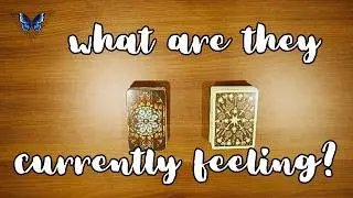 💖💘💝 WHAT ARE THEIR CURRENT INTENTIONS?  😍🥰  Timeless Tarot Reading 🔮💫