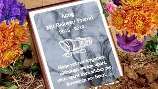 RIP Acog