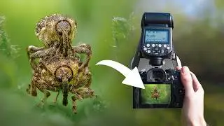 POV Spring Macro Photography