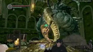 Dark souls Long Stray Demon Fight