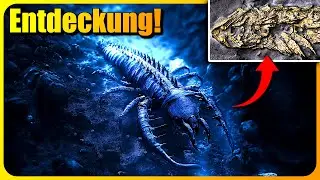 Forscher entdecken GOLDENES Fossil! Was steckt dahinter?