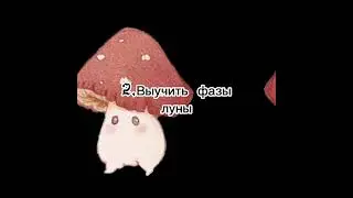 Как стать ведьмочкой-травницей🌿