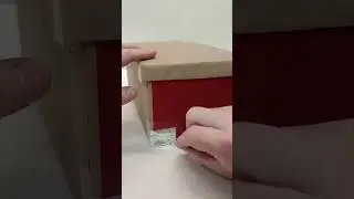 Solar Eclipse Viewing Box