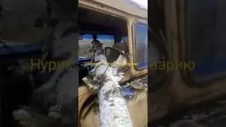 береза чуть не проткнула тракториста