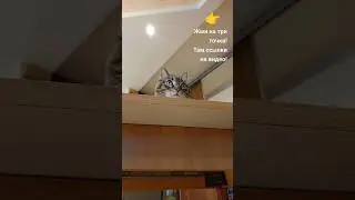 Как перекрасить стол