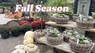 Roger's Garden - Fall Season