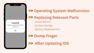 4 Quick and Easy Solutions How to Fix the Touch ID of iPhone