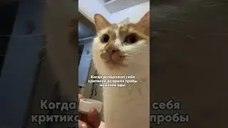 Все мы такие критики? #мем #рек #ржака #ржач #смешно #школа #жиза