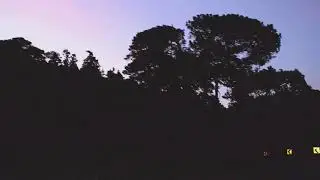 DISFRUTA EL TRAYECTO "SOLO SE VIVE UNA VEZ"