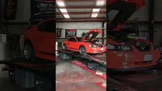 Cammed 2004 Mach 1 Roars on the Dyno | Incredible Sound & Power! 
