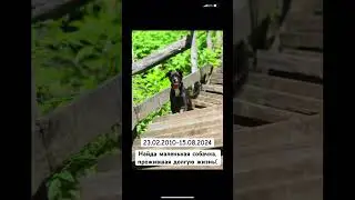 Навсегда в сердцах 💔