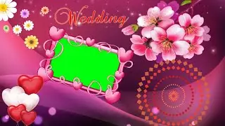 Green screen video | wedding green screen video effects hd | green screen background video effects