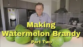 Pt 2 Watermelon Brandy ???