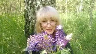 Школа (мадам Адамова)