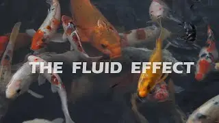 Fluid Mosh Example in Datamosher Pro