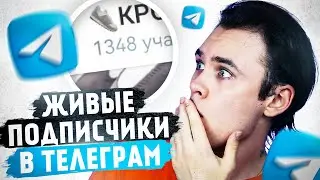 НАКРУТИЛ 1000 ПОДПИСЧИКОВ В ТЕЛЕГРАМ! / КАК РАСКРУТИТЬ ТЕЛЕГРАМ КАНАЛ