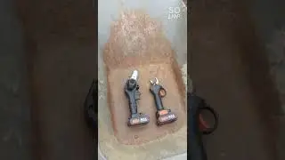 обзор электрического секатор и пилы