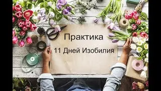 Практика 11 Дней Изобилия