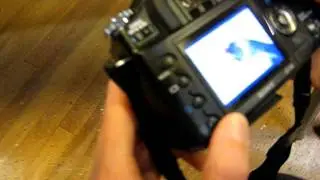 Fotograaf aan het werk op vogelshow