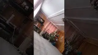 , Я дома