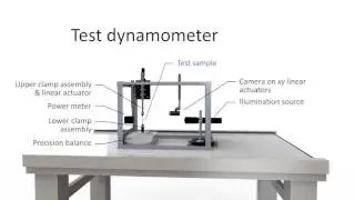 Photomechanical Actuation