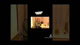 Осторожно Модерн! Осторожно Задов!  Комедия.