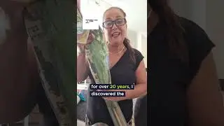 ארבעת המינים.רונית לוי