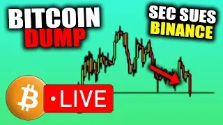 Crypto DUMPS on SEC Suing Binance, Bitcoin Important Support
