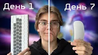 I Played Fortnite on the Keyboard for a Week (I'm a Console Player)