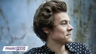 Harry Styles Fans SHOOK After Never Before Seen Photos Surface!