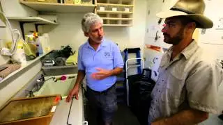 Venomous Snake Room!: Kamp Kenan S1 Episode 5