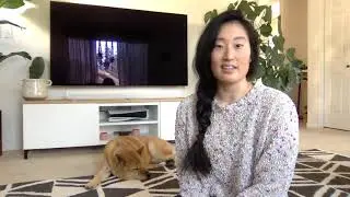 The best and worst things about owning a Jindo! (Leeann #2)