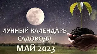 Лунный Посевной Календарь на май 2023. Что и когда сажать и пересаживать в мае 23