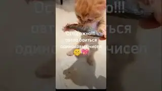 #хочуврек #красота