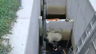 Erster RiverWatcher Fischzähler in Österreich