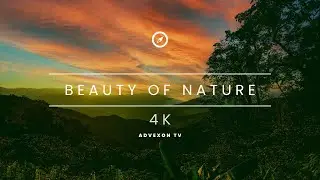 Beauty of Nature | Advexon TV [4K]