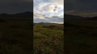 Наткнулись на сброс🔥 колосников🔥 на развалинах кирпичного завода🔥#shorts #tiktok #коп_монет