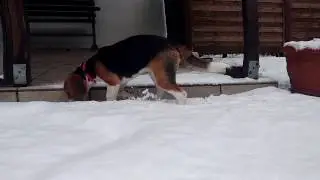 Leni's first snow.mp4