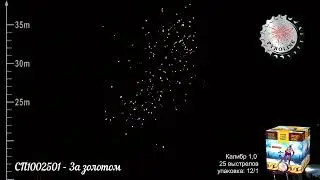 СП1002501   За золотом