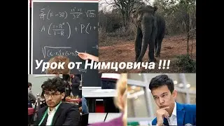 Алиреза Фирузджа (2813) - Абдусатторов Нодирбек (2768)                  Урок от Нимцовича !!!