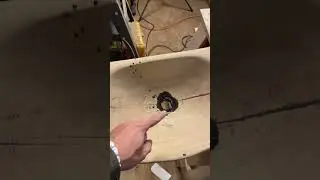 Дубовая раковина скоро!