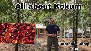 All about Kokum 