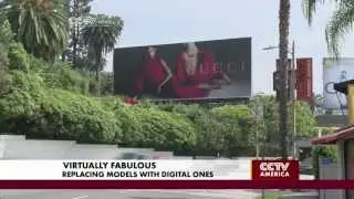 The Rise of Virtual Models
